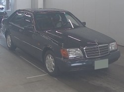n8dzOpZo