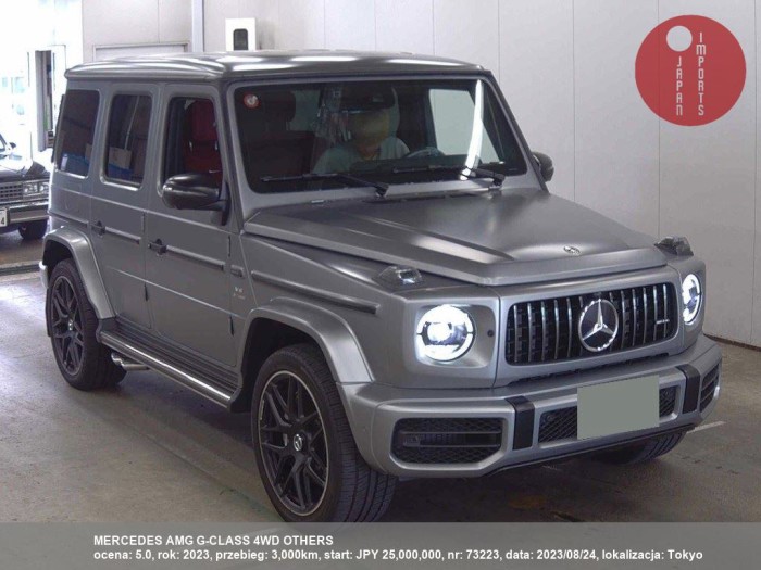 MERCEDES_AMG_G-CLASS_4WD_OTHERS_73223