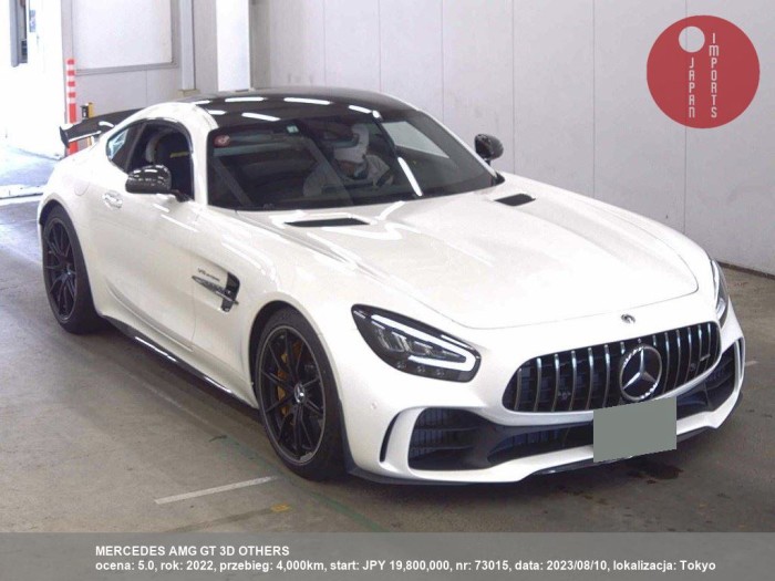 MERCEDES_AMG_GT_3D_OTHERS_73015