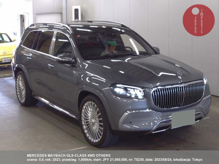 MERCEDES_MAYBACH_GLS-CLASS_4WD_OTHERS_75230