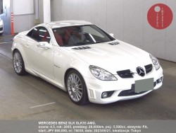 MERCEDES_BENZ_SLK_SLK55_AMG_78030