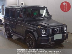 MERCEDES_AMG_G-CLASS_4WD_OTHERS_73143