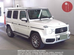 MERCEDES_AMG_G-CLASS_4WD_OTHERS_75549