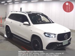 MERCEDES_AMG_GLS_4WD_OTHERS_58334