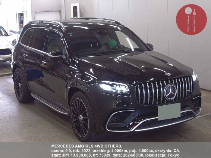 MERCEDES_AMG_GLS_4WD_OTHERS_73029