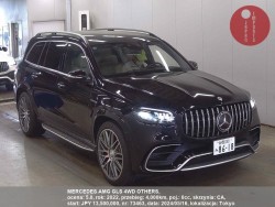MERCEDES_AMG_GLS_4WD_OTHERS_73463