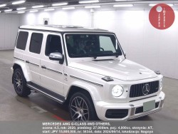 MERCEDES_AMG_G-CLASS_4WD_OTHERS_58344
