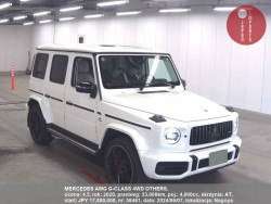 MERCEDES_AMG_G-CLASS_4WD_OTHERS_58461
