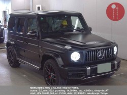 MERCEDES_AMG_G-CLASS_4WD_OTHERS_75188