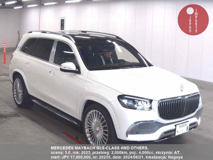 MERCEDES_MAYBACH_GLS-CLASS_4WD_OTHERS_20255