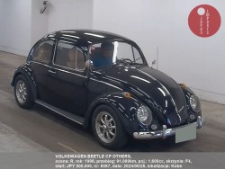 VOLKSWAGEN_BEETLE_CP_OTHERS_6087