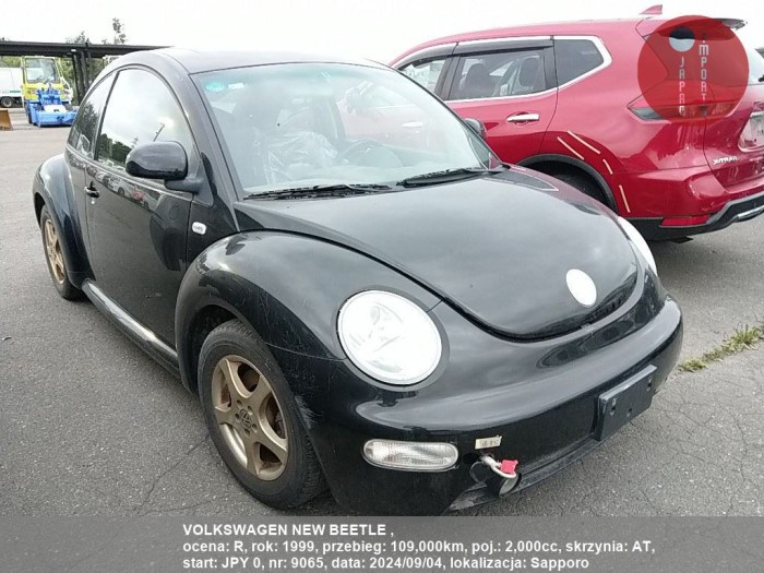 VOLKSWAGEN_NEW_BEETLE__9065